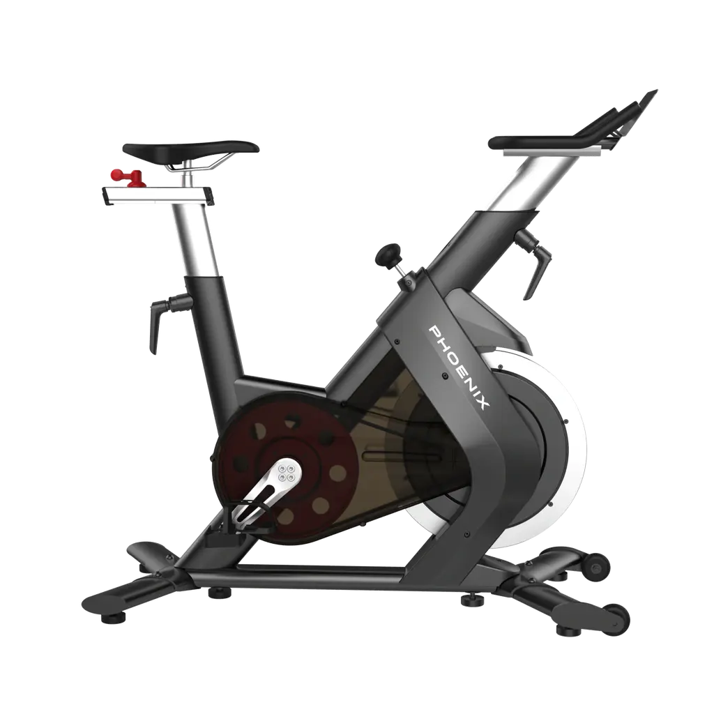 Bicicleta de Spinning Profesional - S210